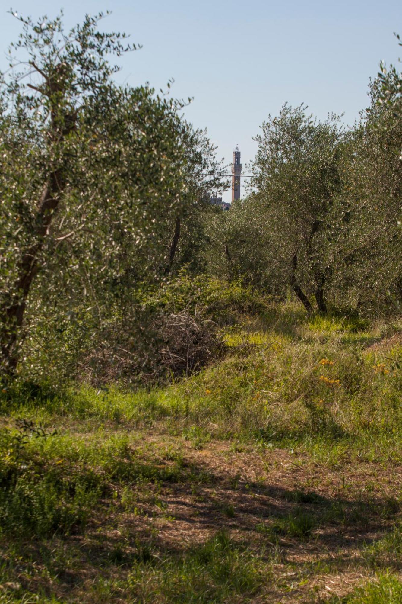 Podere Piazza Casa Dell'Arcivescovo Siena Exteriör bild